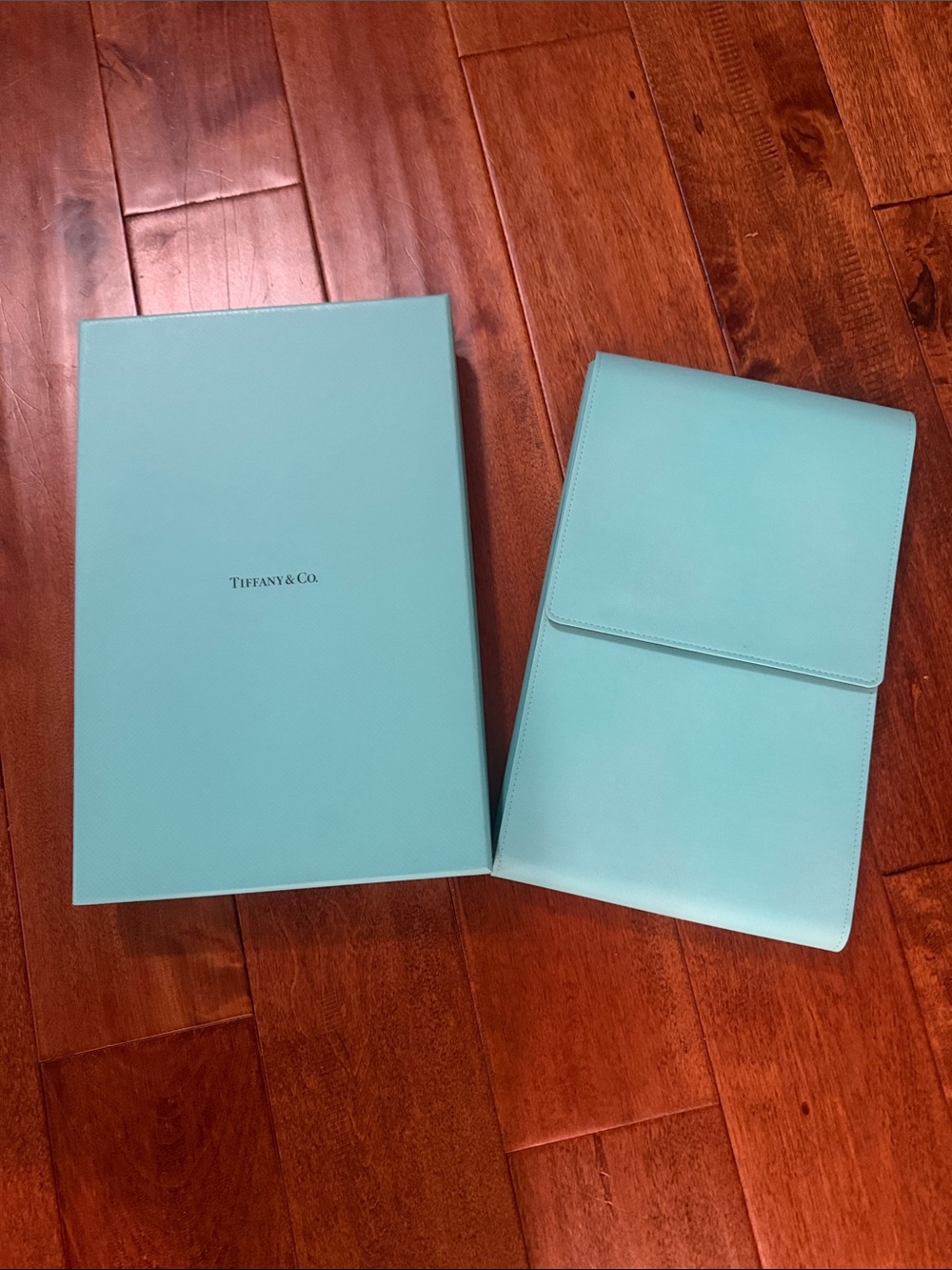 Tiffany & Co. Light Blue Leather Case with Box